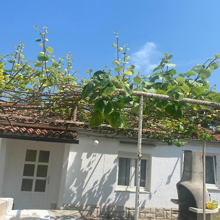 Apartman Nela Apartman Poreč Kültér fotó