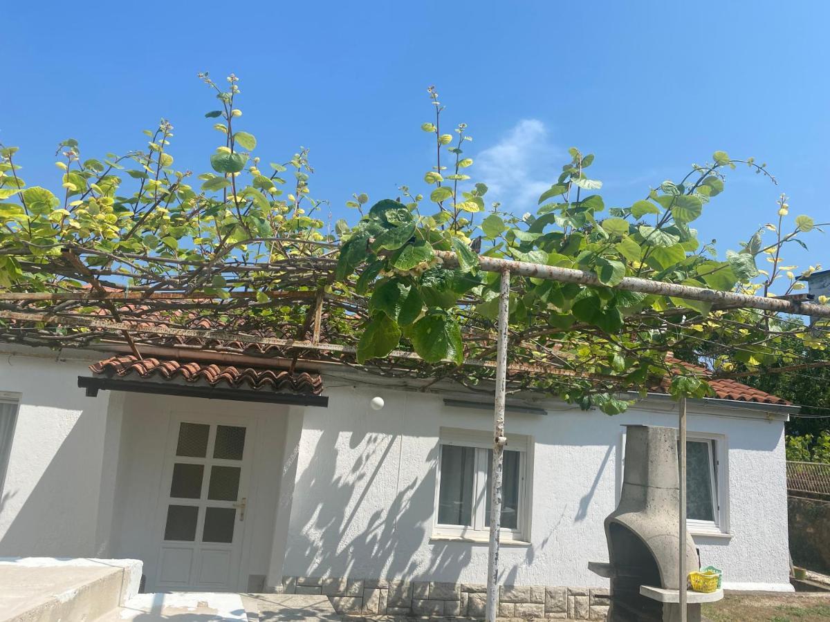 Apartman Nela Apartman Poreč Kültér fotó